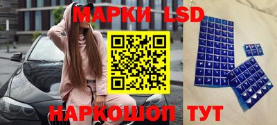 сатива Новокубанск