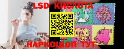 спиды Новозыбков