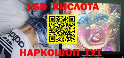 сатива Новокубанск
