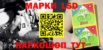 спиды Новозыбков